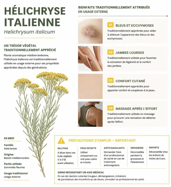 Infographie sur les bienfaits traditionnellement attribués à l’hélichryse italienne et ses précautions d’utilisation